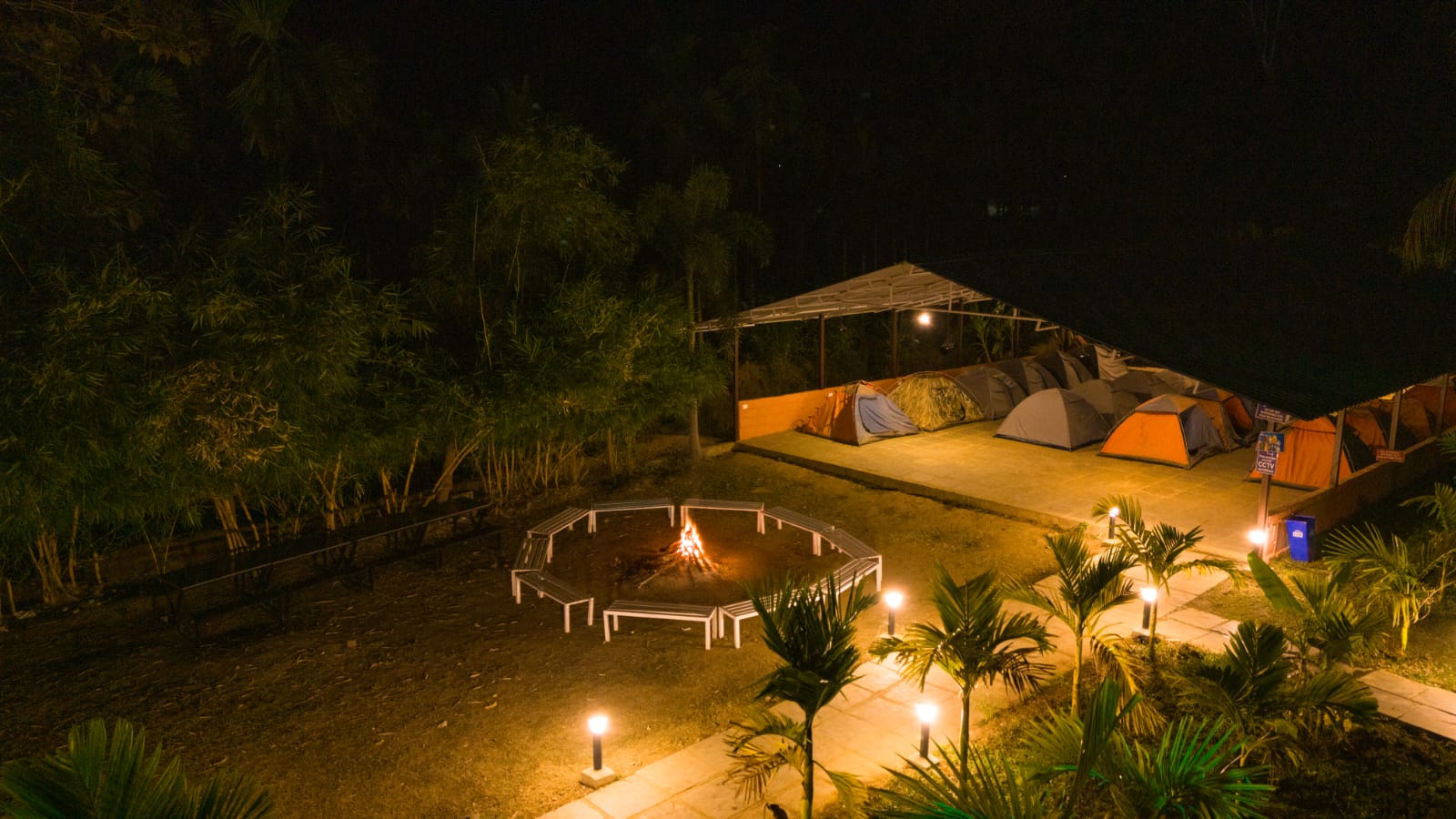 Jungle Adventure Activities